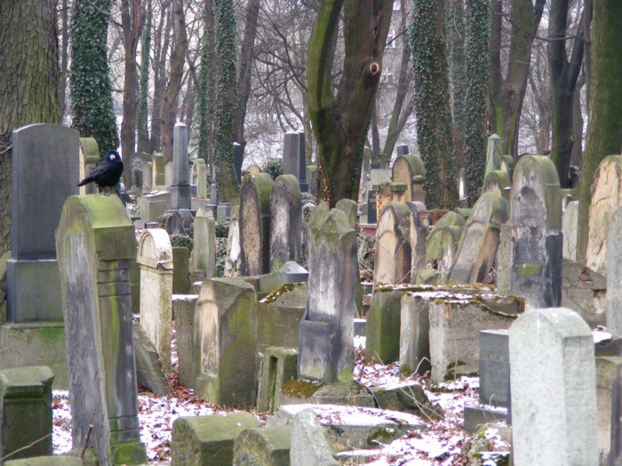 DSCF1012.JPG