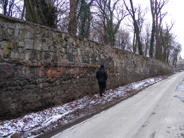 DSCF1013.JPG