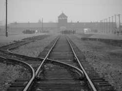 DSCF1012.JPG