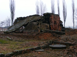 DSCF1017.JPG