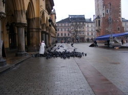 DSCF1060.JPG