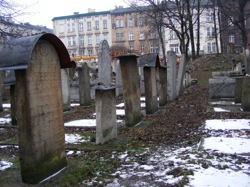 DSCF1108.JPG