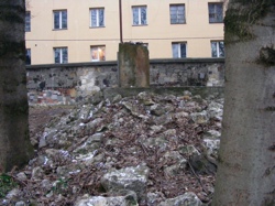 DSCF1114.JPG