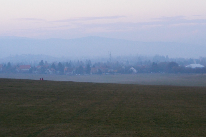 DSCF1003.JPG