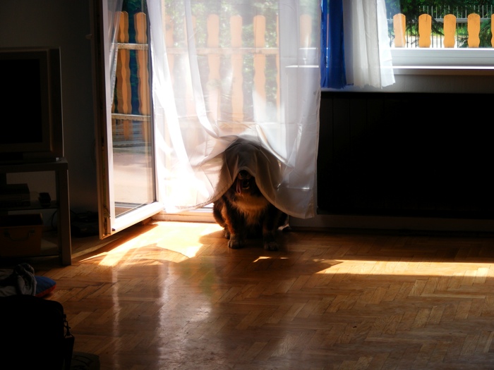 DSCF1005.JPG