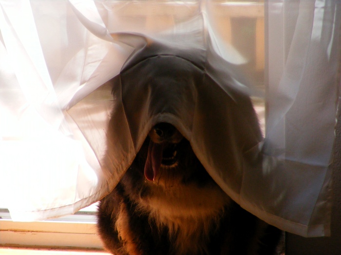 DSCF1006.JPG
