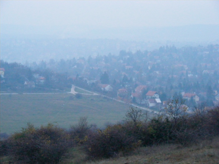 DSCF1010.JPG