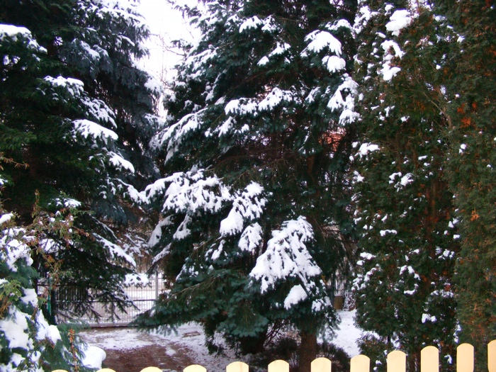 DSCF1015.JPG