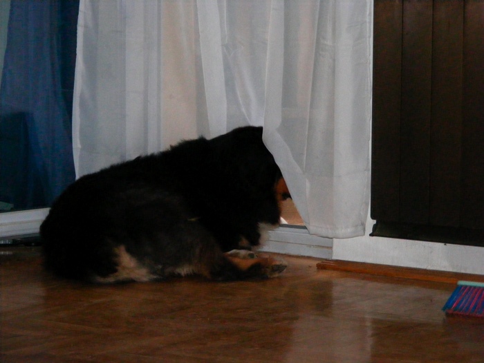 DSCF1016.JPG