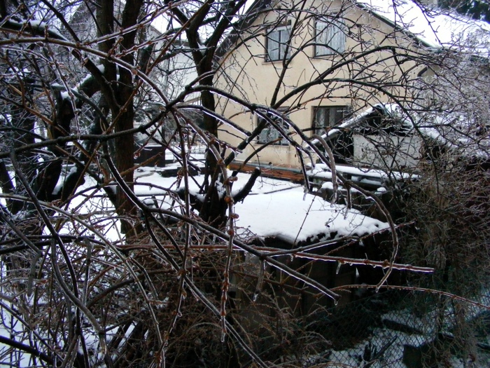 DSCF1017.JPG