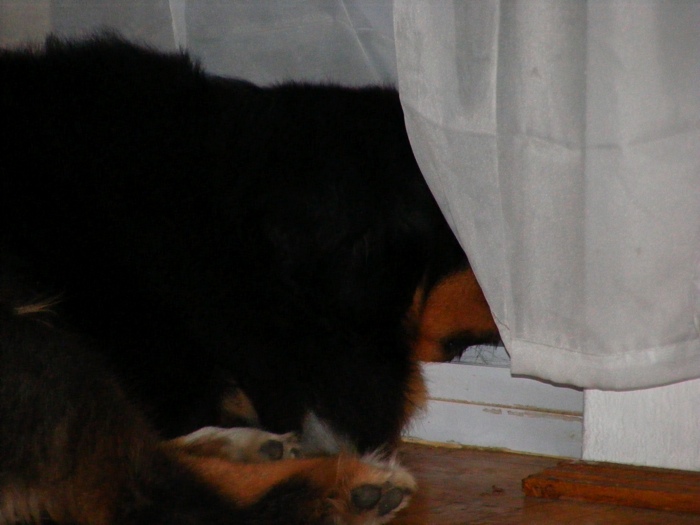 DSCF1018.JPG
