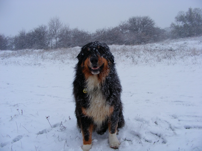 DSCF1020.JPG