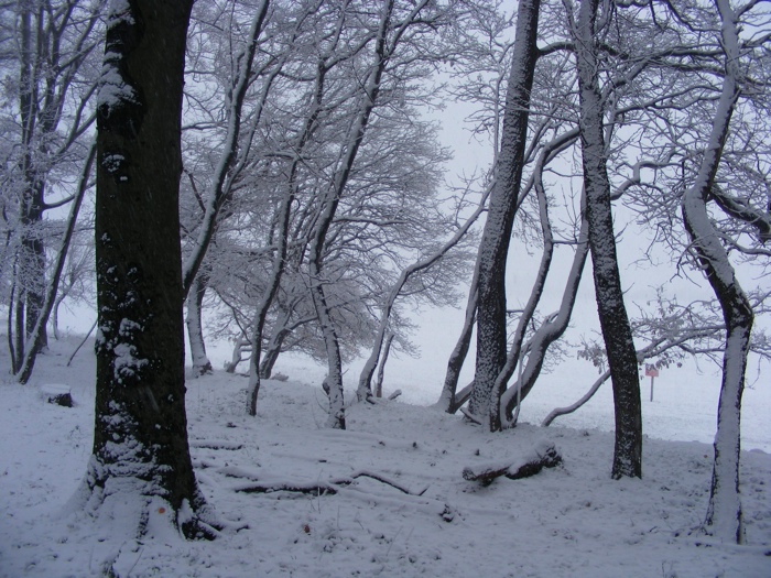 DSCF1022.JPG