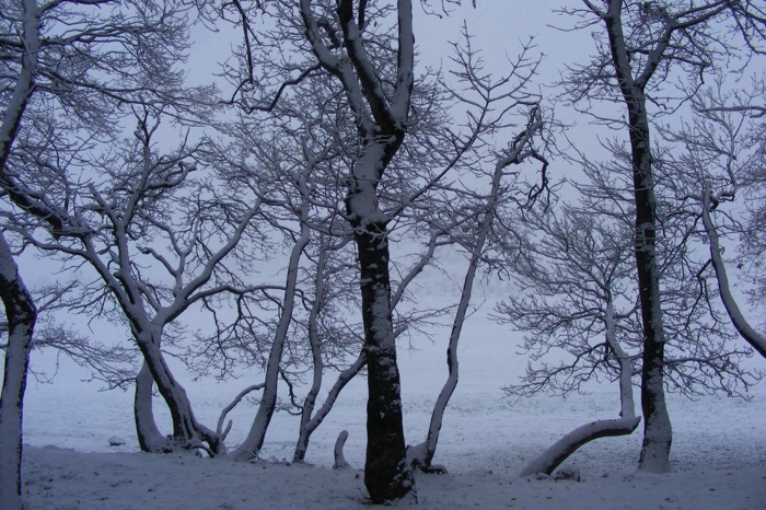 DSCF1023.JPG