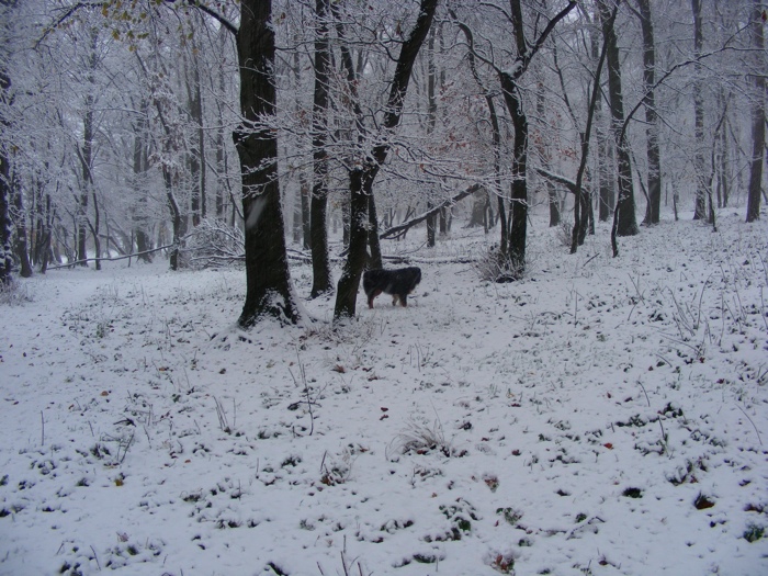 DSCF1024.JPG