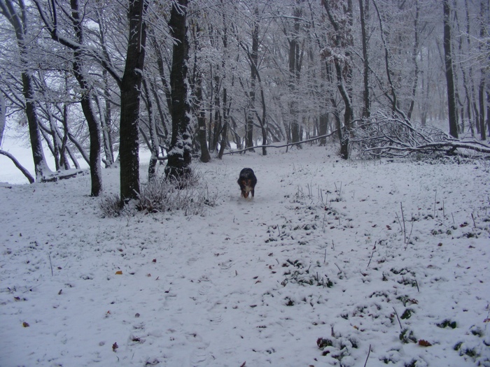 DSCF1025.JPG