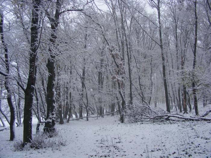 DSCF1026.JPG