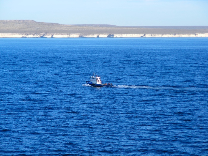DSCF1100.JPG