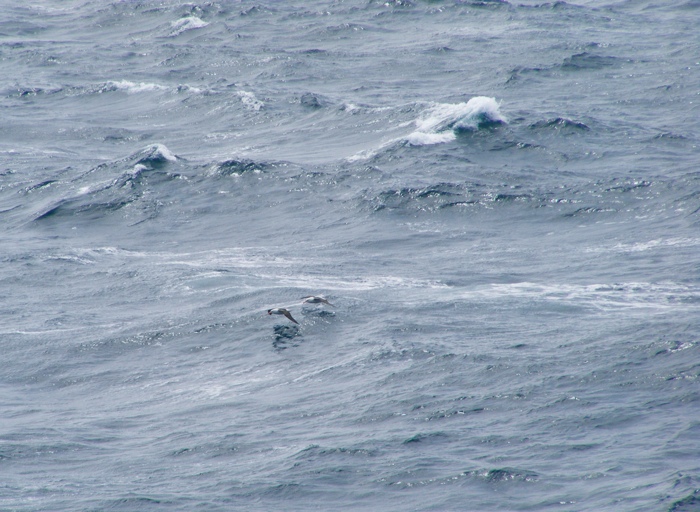 DSCF1167.JPG