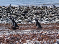 DSCF1032.JPG