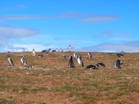 DSCF1033.JPG