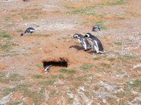 DSCF1038.JPG