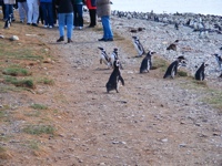 DSCF1051.JPG