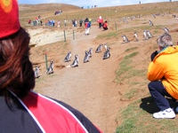DSCF1066.JPG