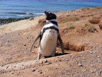 DSCF1073.JPG