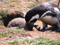 DSCF1078.JPG