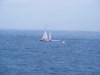 DSCF1137.JPG