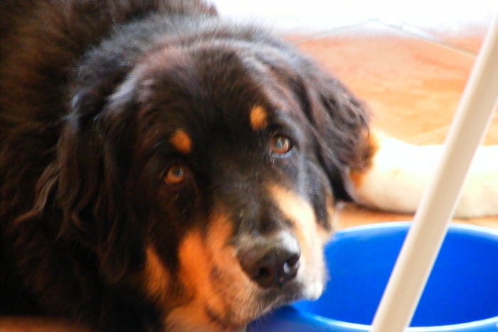 DSCF1006.JPG