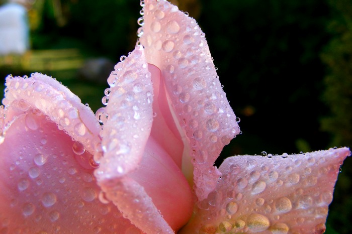 DSCF1038.JPG