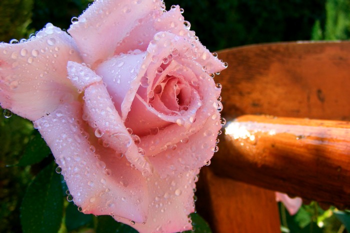 DSCF1041.JPG