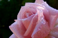 DSCF1036.JPG