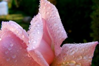 DSCF1038.JPG