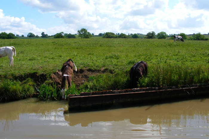 DSCF2872.JPG