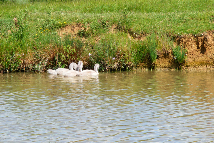 DSCF2880.JPG