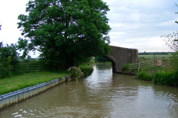 DSCF2900.JPG