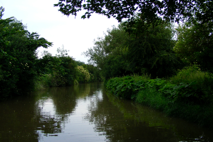 DSCF2949.JPG