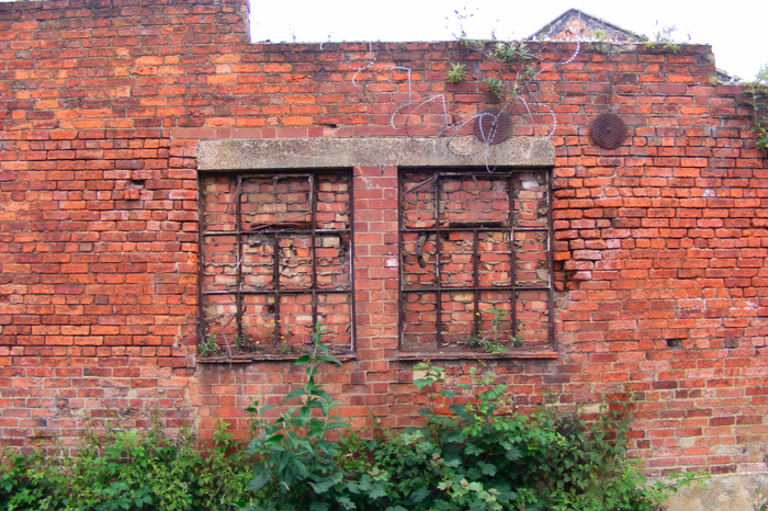 DSCF2953.JPG