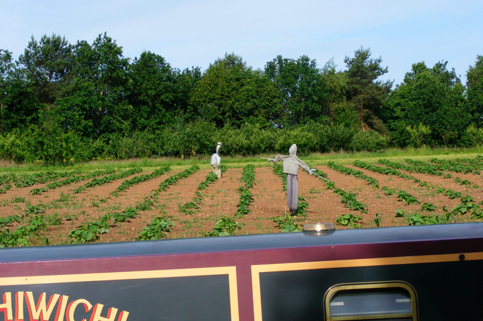 DSCF2959.JPG