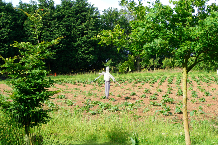 DSCF2961.JPG
