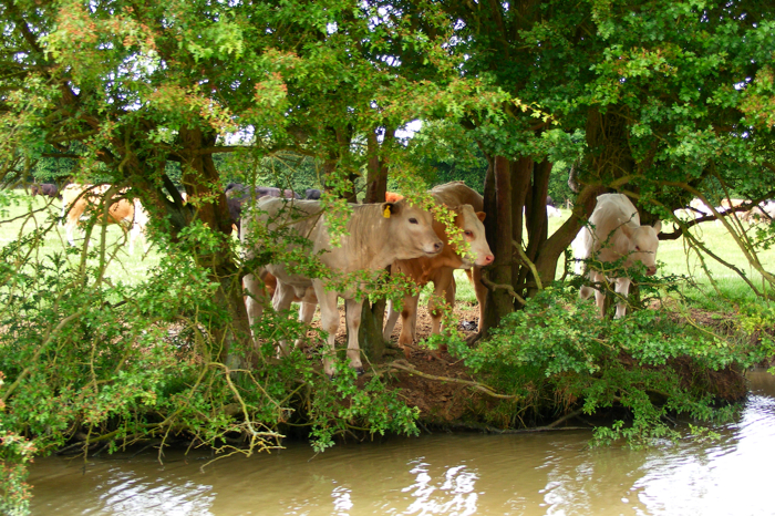 DSCF2965.JPG