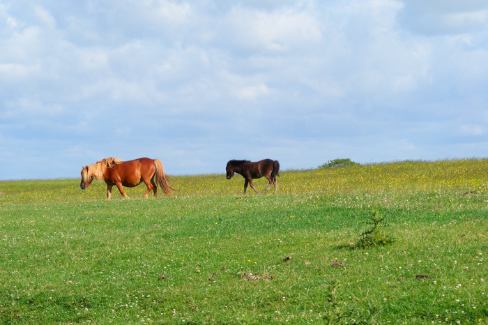 DSCF2988.JPG