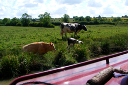 DSCF2873.JPG
