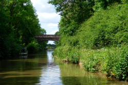 DSCF2886.JPG