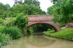 DSCF2908.JPG