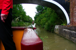 DSCF2914.JPG