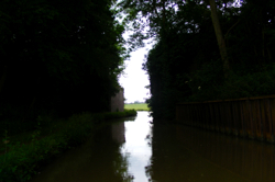 DSCF2921.JPG